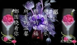 ゞ护旗手-支付宝主播照片
