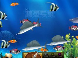 永远挂号主播照片