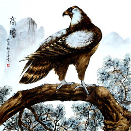 永远挂号主播照片