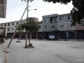 桂~L主播照片