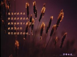 永远挂号主播照片