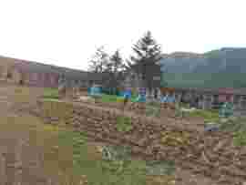 野蜂王主播照片