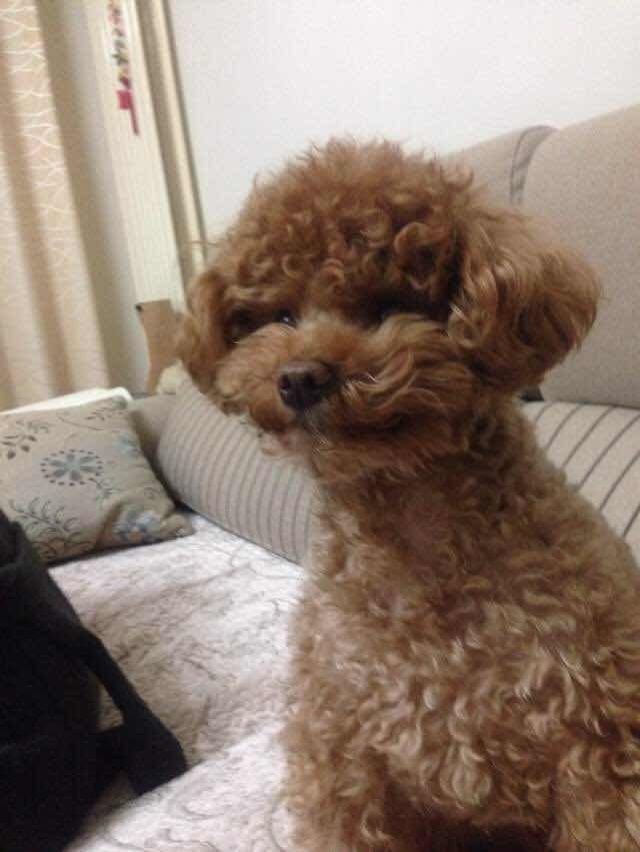 ☆漫妮Fiona✧*主播照片