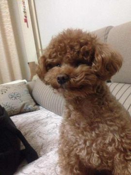 ☆漫妮Fiona✧*主播照片