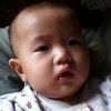 惊魂烈豹海报