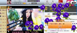 Zqc★、醉倾城灬主播照片