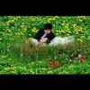 奇舞~飞扬@“”