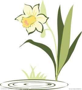 永远挂号主播照片