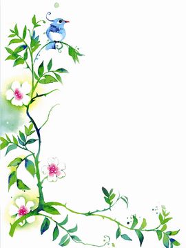 永远挂号主播照片