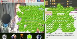 ∨燕子∨主播照片