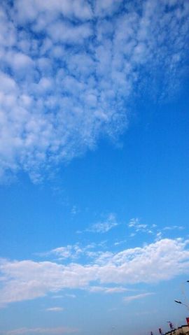 小ゞ薇主播照片
