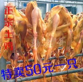 满天星❤🔥🔥🔥主播照片