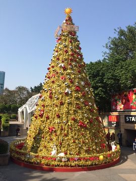 陆度空间站主播照片