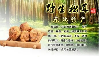 拽拽小阿哥的主播照片