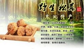 拽拽小阿哥主播照片