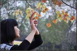 蝶舞埃及舞pmp主播照片