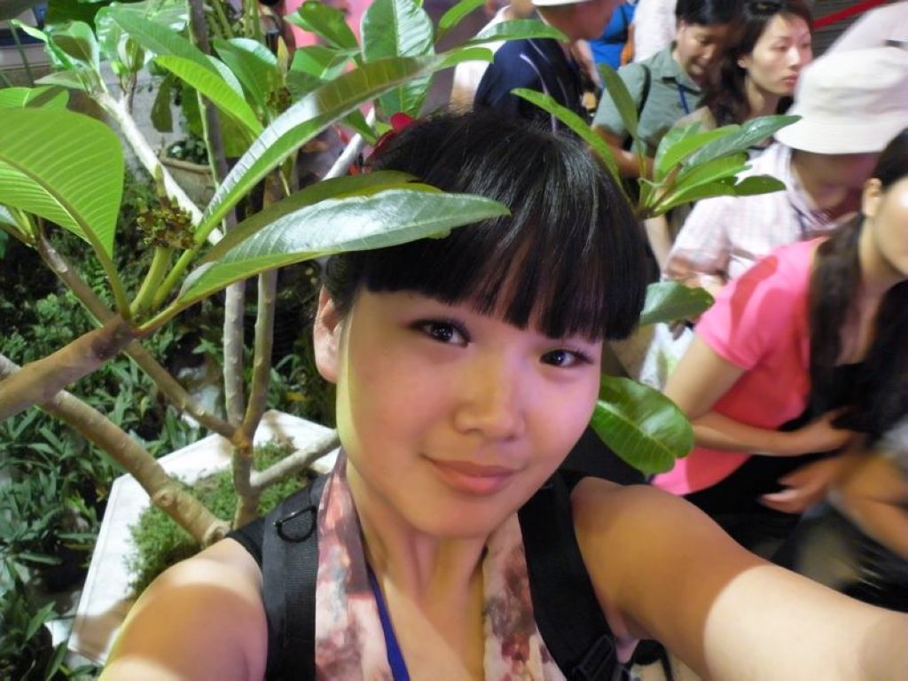 蝶舞埃及舞pmp的主播照片
