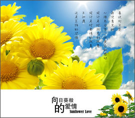永远挂号主播照片