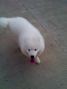 ゞ豆芽娃❉晴柔♫つ主播照片