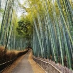 麦田守望者x!海报