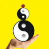 金生水起9
