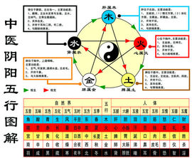 萧萧之声....主播照片