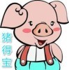 美女观光员