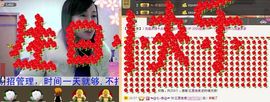 紫色的七主播照片