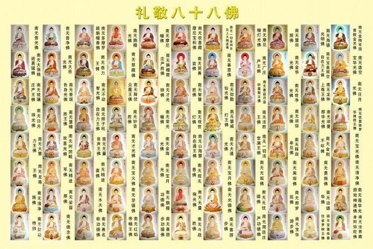 网友增福寿看我写动态主播照片