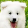 ︶ㄣ﹏夜蓝☀恩心﹋つ海报