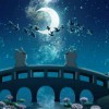 羽殇三月