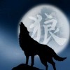 烟花易冷ho