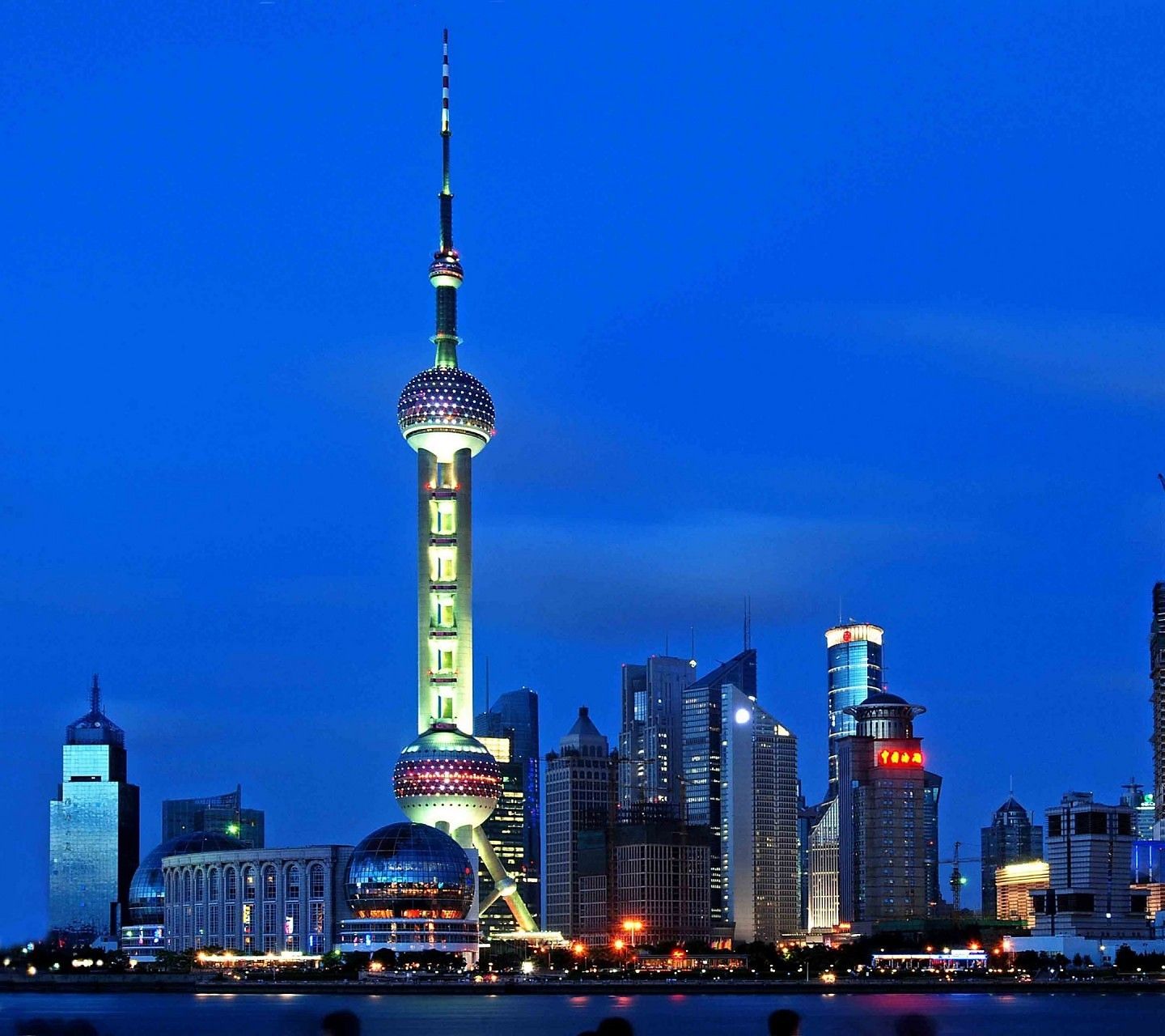 ????～逆流而上～的主播照片