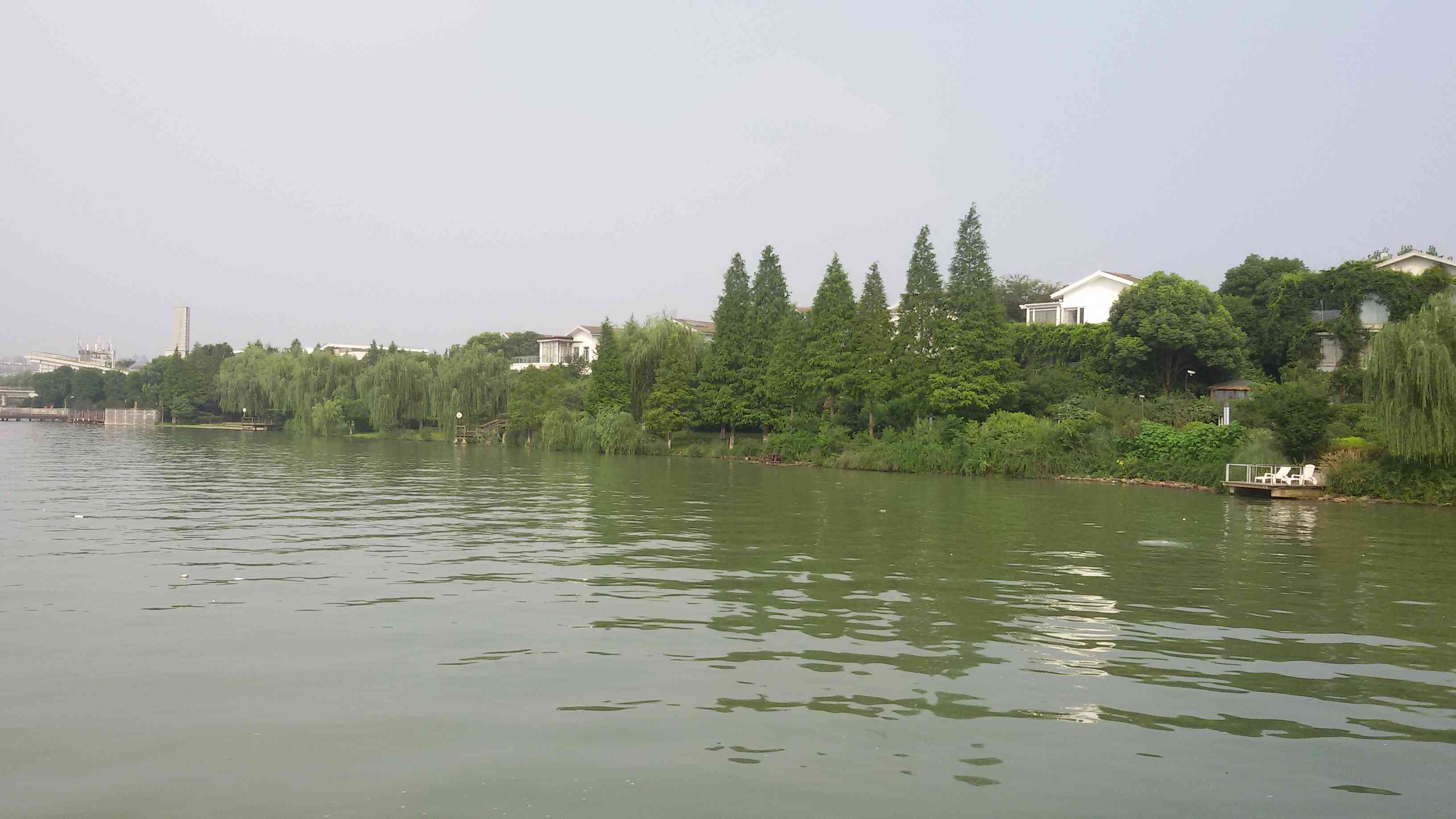 🇨🇳～逆流而上～的图片