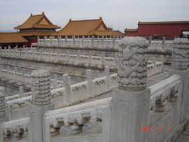 永远挂号主播照片