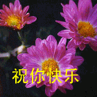 永远挂号主播照片