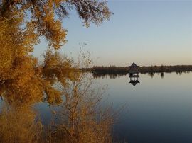 西北狼1224主播照片