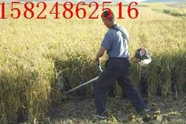 nongfenga主播照片