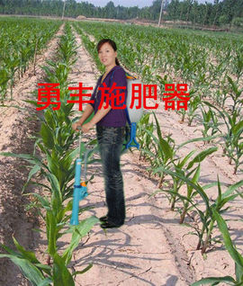 nongfenga主播照片