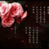 伱対涐冭喠崾