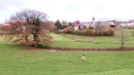 赵春霞还我血汗钱主播照片