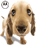 あが亲洋╰→主播照片