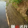 爱已是过去!
