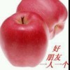 我是你的春天r