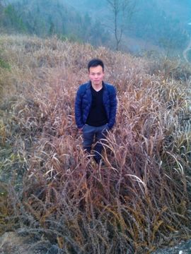 程力专汽冷藏车厂家主播照片