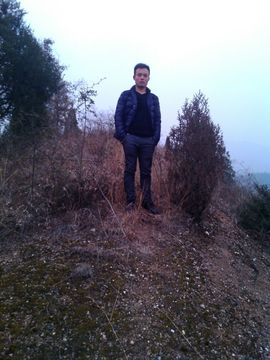 程力专汽冷藏车厂家主播照片