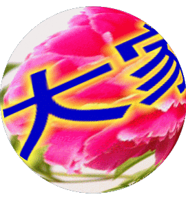 镡芕惪悖埫的主播照片