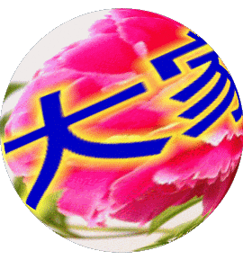 镡芕惪悖埫主播照片