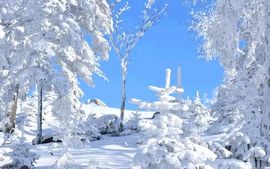 love☆雪儿☆主播照片