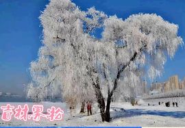love☆雪儿☆主播照片